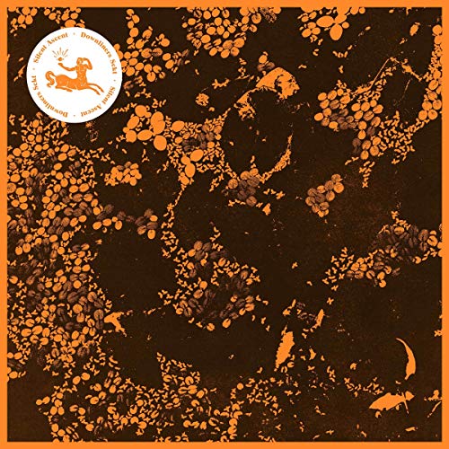 The image depicts a CD cover with a dark brown background and orange splatters.