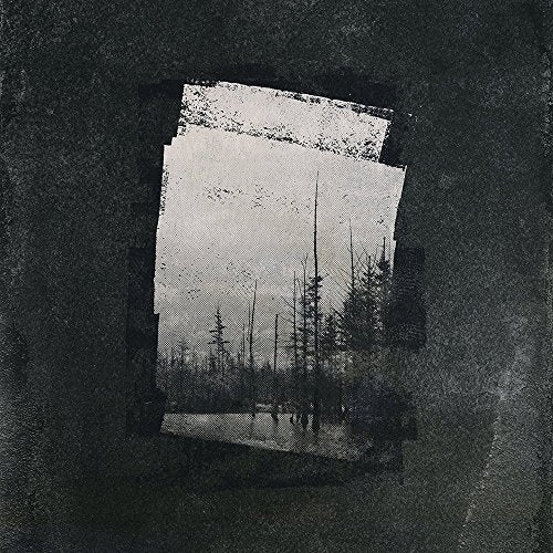 A black-and-white Polaroid image of a forest, with a distressed, grungy texture overlay.