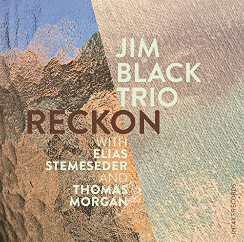 The image depicts the cover art for the album "Reckon" by Jim Black Trio, featuring a textured, abstract design with a mix of earthy tones and blue. The title is prominently displayed in large, bold letters, with the artist's name written above it. The names of collaborating artists, Elias Stemeseder and Thomas Morgan, are listed below. A small logo reading "intakt records" is visible in the bottom-right corner. Alt text: "Album cover with abstract earthy