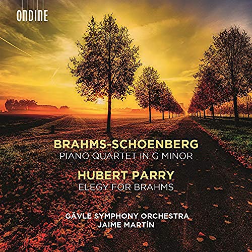 "Album cover featuring a serene tree-lined path at sunset with yellow and orange hues."