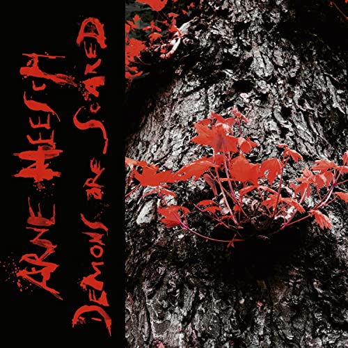 Arne Heesch - Demons Are Scared (Lp+cd) [VINYL]