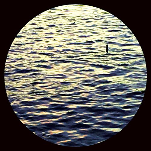 The image depicts a body of water with a circular frame, likely a vinyl record. For accessibility purposes, a concise alt text could be: "Orange vinyl record with a water scene image."