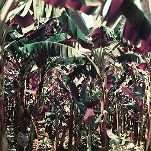 Various - Peach Shuffle EP (Ft. Nebraska Remix) [VINYL]