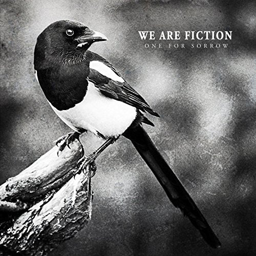 Black and white magpie on a branch, album cover art for "One for Sorrow".