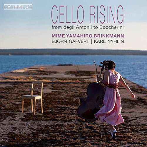 A woman in a pink dress carries a cello on a rocky waterfront pier.