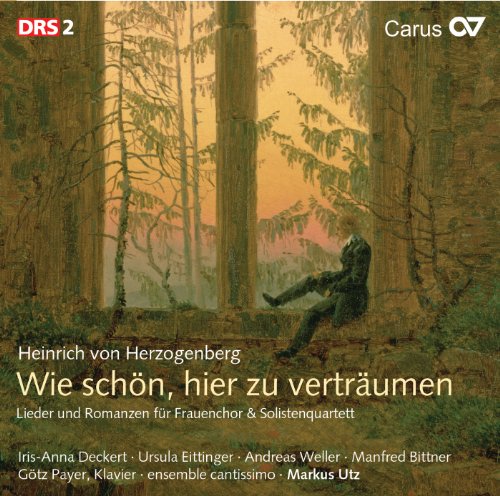 A CD cover featuring a person sitting in a forest, surrounded by tall trees.