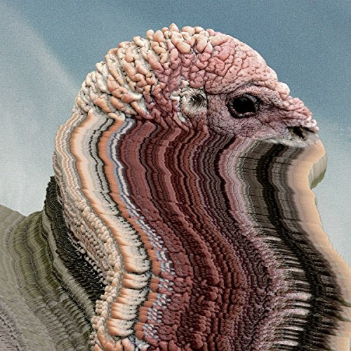 A turkey's head and neck, distorted with layered, wavy patterns, against a blue sky.