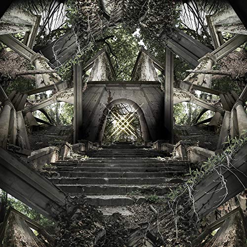 A black vinyl record with a mirrored image of a crumbling staircase and archway.