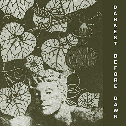 Dark Day - Darkest Before Dawn [VINYL]