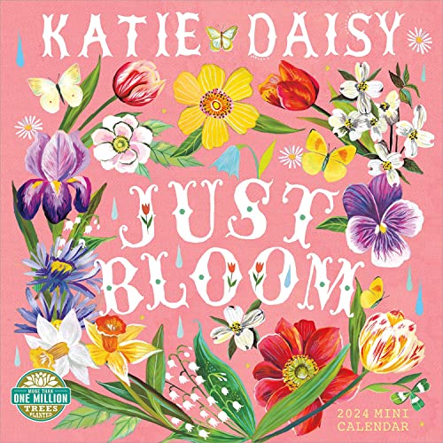 Katie Daisy 2024 Mini Calendar: Day Dreamer