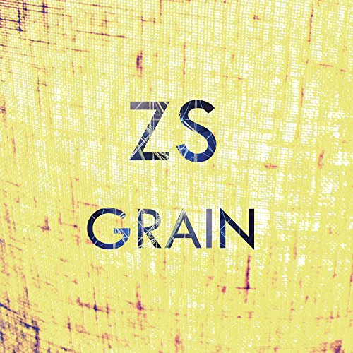 The image is a digital artwork featuring the text "ZS GRAIN" on a yellow background. Alt text: Yellow textured background with "ZS GRAIN" in dark blue text.