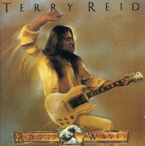 "Terry Reid album cover with man playing guitar, orange and brown background."