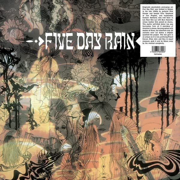 Various - Five Day Rain [VINYL]