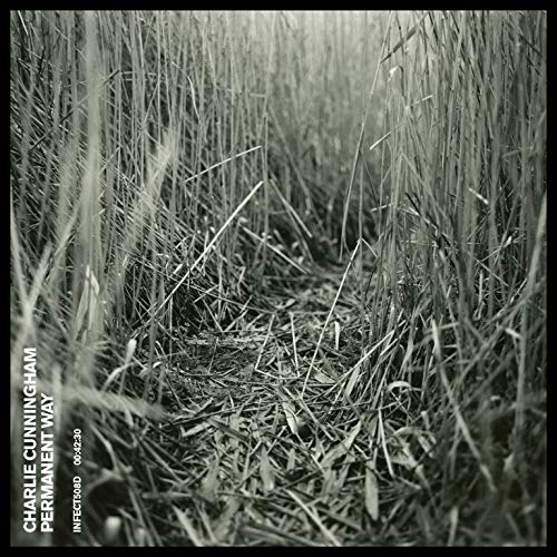 Black and white photo of tall grass on a CD cover.