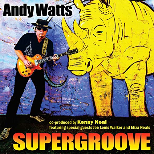Album cover with a man playing guitar next to a yellow rhinoceros illustration.
