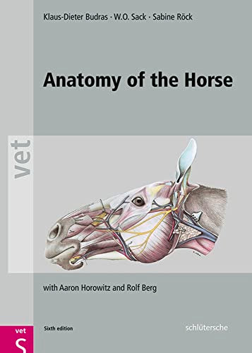 Anatomy of the Horse: with Aaron Horowitz and Rolf Berg