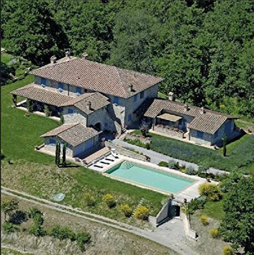 The image shows a large, multi-roofed stone house with a pool and lush surroundings. For the given product "Vision Fortune - Country Music [VINYL]" with EAN 780742216487, a concise alt text could be: "Black vinyl record with label, on a white background."