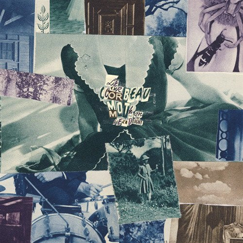 Le Corbeau - Moth On The Headlight [VINYL]