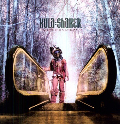 The image shows a vinyl record cover with an astronaut in a forest scene.