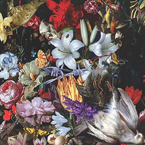 The Nightingales - Perish The Thought [VINYL]