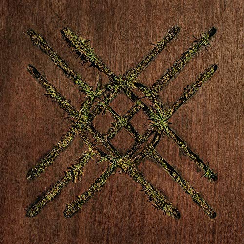 A vinyl record cover with a thorny, green, six-pointed star on a brown background.