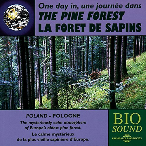 Une Journee Dans La Foret De Sapins - A Day in the Pine Forest (Poland) [CD]