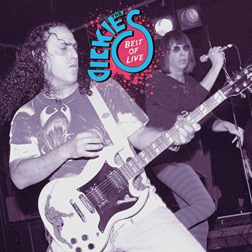 Vinyl album cover featuring two musicians performing on stage with guitars and microphone.