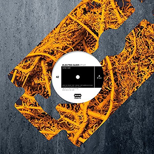 A vinyl record with a white label is centered on a grey background.