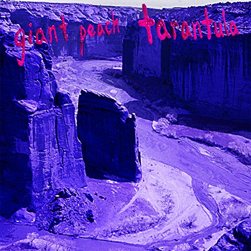 "Vinyl album cover with purple canyon landscape and pink handwritten title."