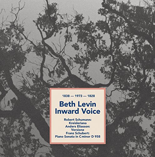 CD cover with tree silhouette and white text box containing blue text "Beth Levin Inward Voice".