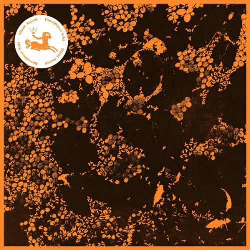 A vinyl record cover with a black background and orange splatter design.