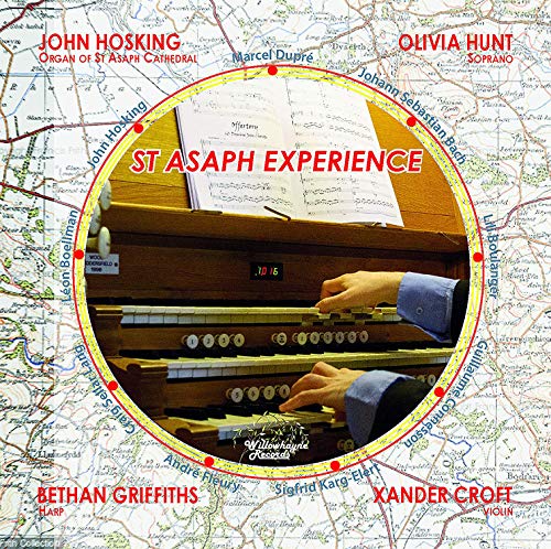 Hosking/hunt/croft/griffiths - Various: St Asaph Experience [CD]