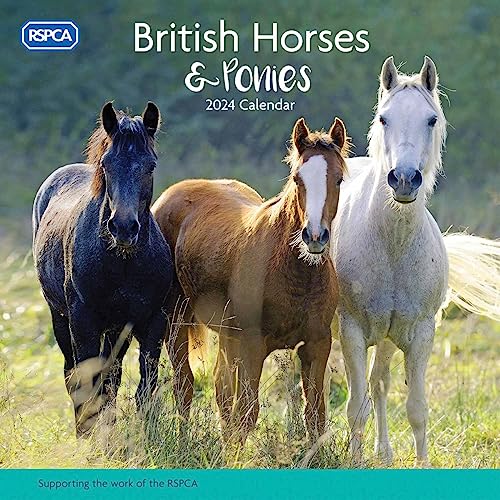 RSPCA British Horses & Ponies Wall Calendar 2024