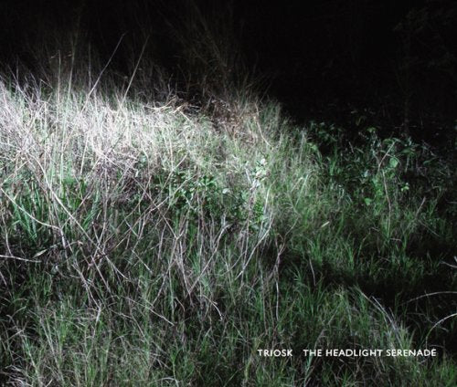 "CD album cover with dark grassy field and Japanese text on left side."