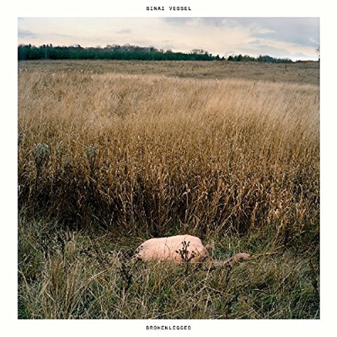 Sinai Vessel - Brokenlegged [CD]