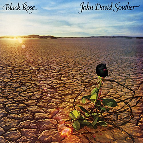 "Album cover with a black rose in a dry, cracked landscape."
