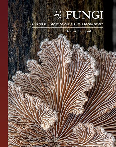 The Lives of Fungi: A Natural History of Our Planet's Decomposers: 2 (The Lives of the Natural World, 2)