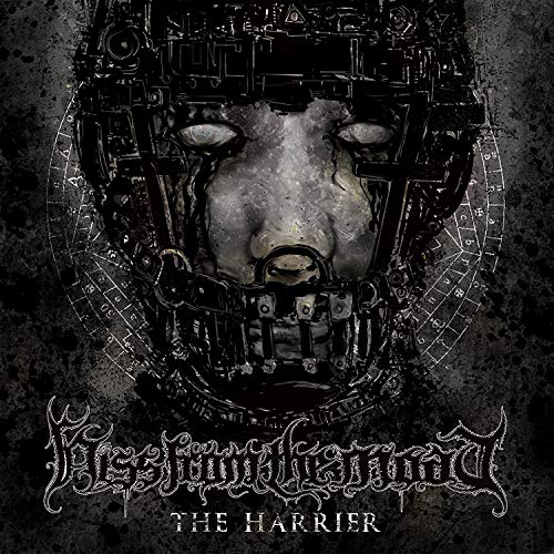 A cow's face is encased in a metal contraption on a dark album cover.