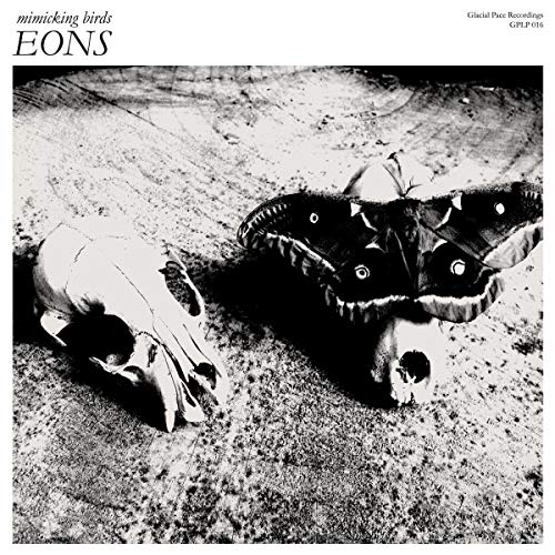 Black and white vinyl album cover featuring a moth and two skulls on sandy ground.