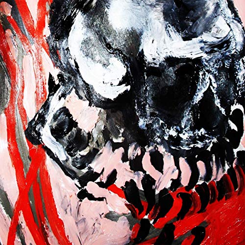 The alt text for the image is: "Album cover with a black and white skull on red and pink background."