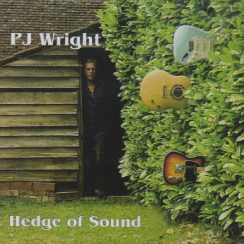 "Album cover with man in shed doorway, surrounded by foliage and three floating guitars."