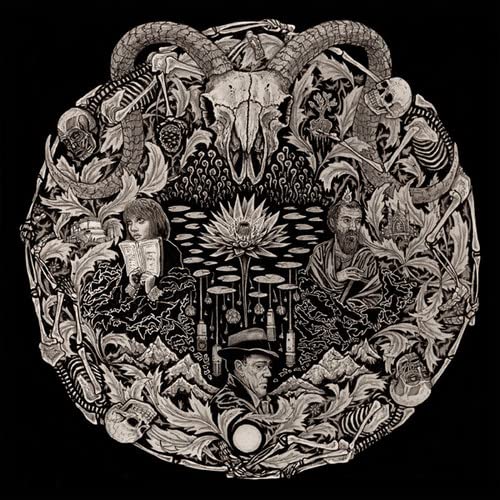 Petrels - Flailing Tomb [VINYL]