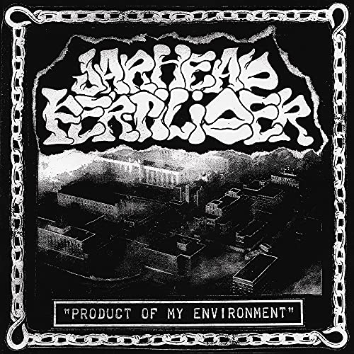 Various - Product of My Environment [VINYL]