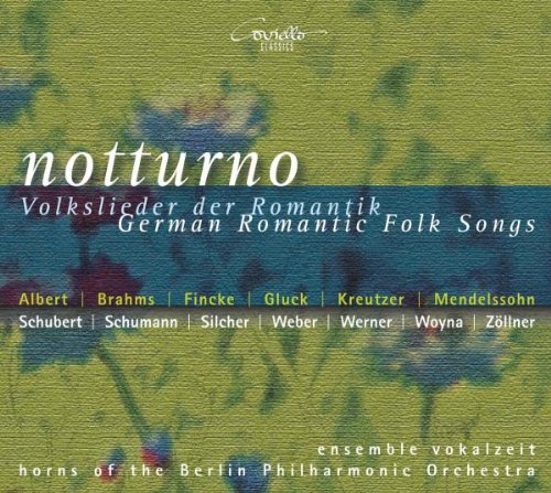 "CD cover with green floral pattern, blue stripe, and white text 'notturno' and artist names."