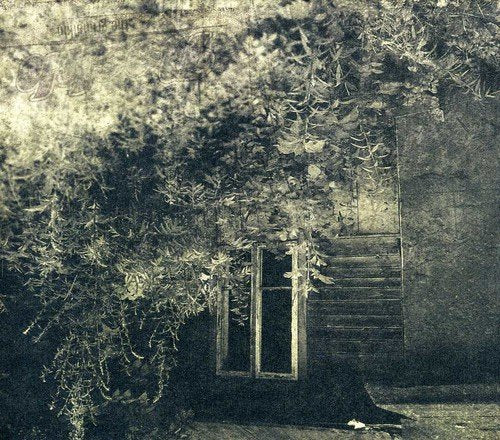 Noekk - The Grimalkin [CD]