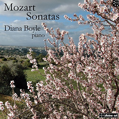 "CD cover featuring a blooming tree with a serene landscape in the background."