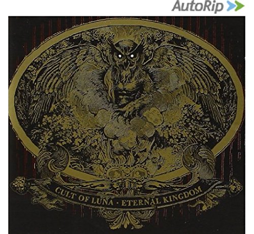 Gold illustration of an owl surrounded by clouds on a black album cover.