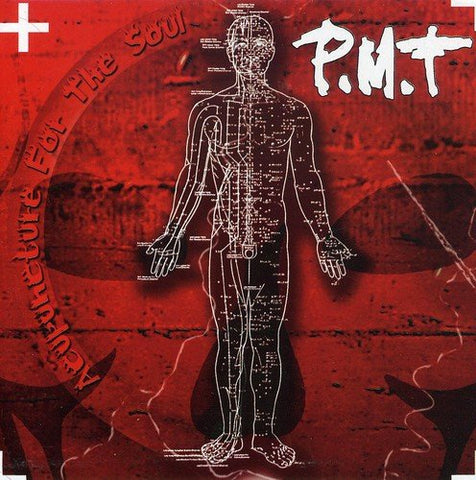 Pmt - Acupuncture for the Soul [CD]