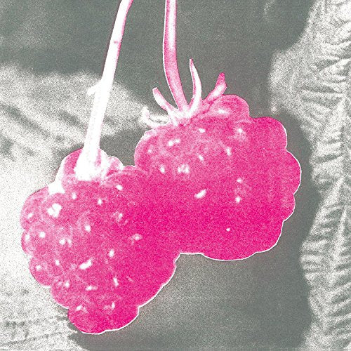 Two bright pink raspberries with stems attached, against a grey textured background.