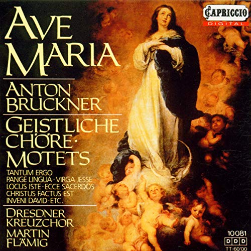 Anton Bruckner - Bruckner: Ave Maria/Tantum Ergo [IMPORT] [CD]